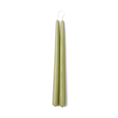 Taper Candle Pair Fern 30cm
