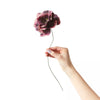 Paper Flower Peony Aubergine