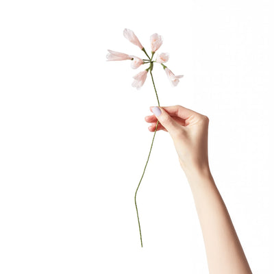 Paper Flower African Lily Rose
