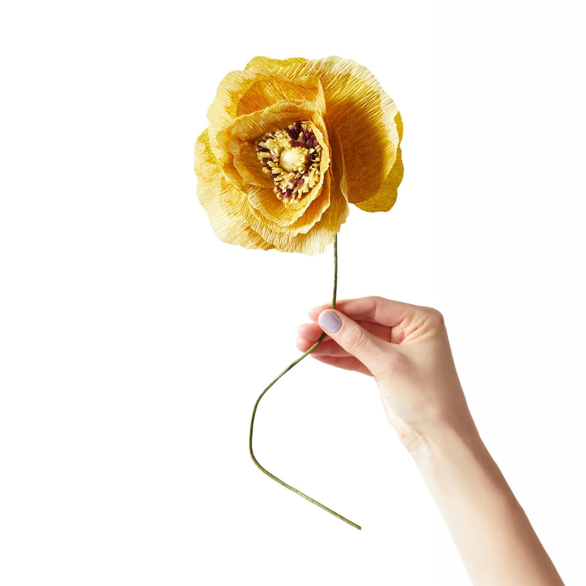 Paper Flower Ice Poppy Ochra