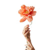 Paper Flower Grand Peony Peach